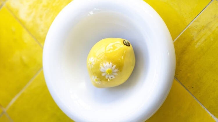 citron-jacquemus-4.jpg