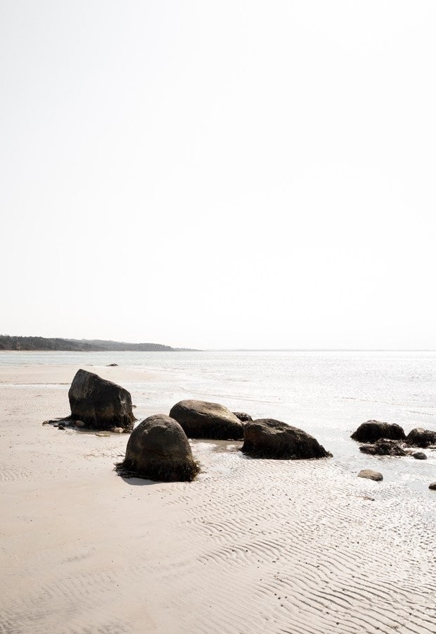 Πώς ένα σπίτι μπροστά σε μια παραλία της Δανίας γίνεται ένα με το τοπίο- Φωτογραφία 5