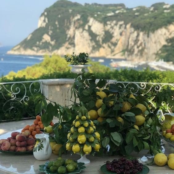 Λαμπεροί καλεσμένοι σ' ένα υπέροχο γεύμα στο κοσμοπολίτικο Capri- Φωτογραφία 3
