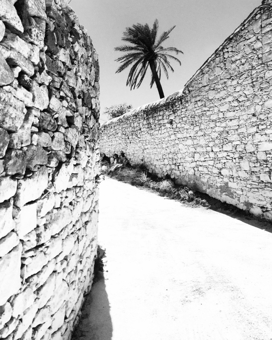 Η καταξιωμένη φωτογράφος Μάρα Δεσύπρη μας ξεναγεί στη δική της Τήνο και μας αποκαλύπτει τα απόκρυφα του τόπου της - Φωτογραφία 1