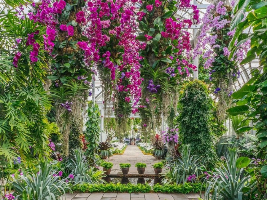 The Orchid Show: Ο Βοτανικός Κήπος της Νέας Υόρκης γεμίζει με ορχιδέες για να υποδεχθεί την άνοιξη- Φωτογραφία 2