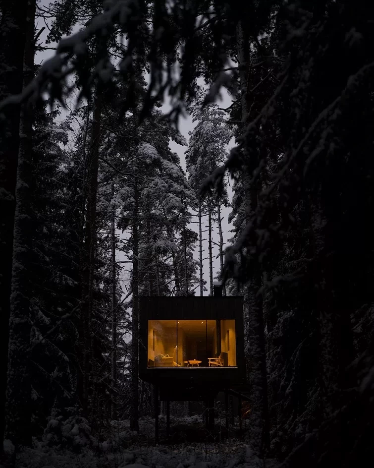 Περιηγηθείτε στο minimal Trakt Forest Hotel της νότιας Σουηδίας- Φωτογραφία 2
