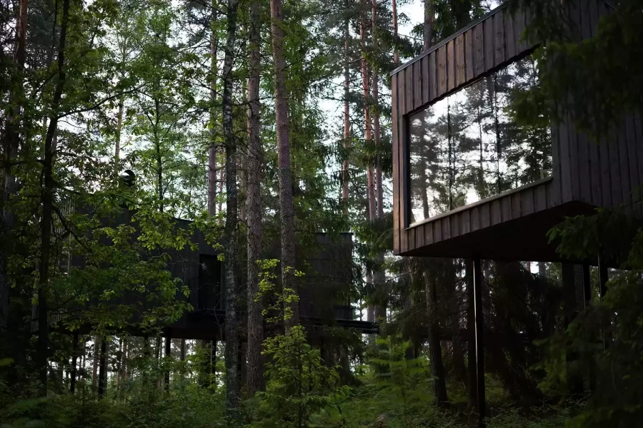 Περιηγηθείτε στο minimal Trakt Forest Hotel της νότιας Σουηδίας- Φωτογραφία 4
