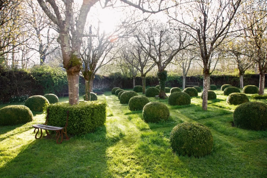 Μαγευτείτε από την απαράμιλλη θέα ενός κήπου με μεσαιωνική έμπνευση στη Γαλλία- Φωτογραφία 6