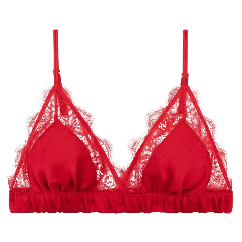  Love Lace Red Bra 