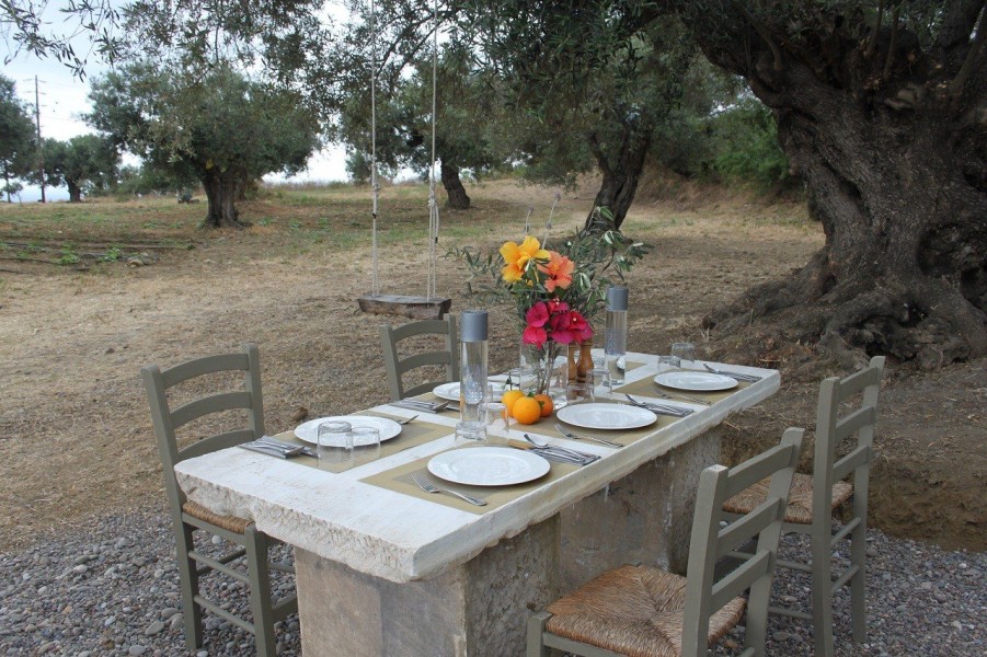 breakfast-under-the-old-aged-olive-tree.JPG