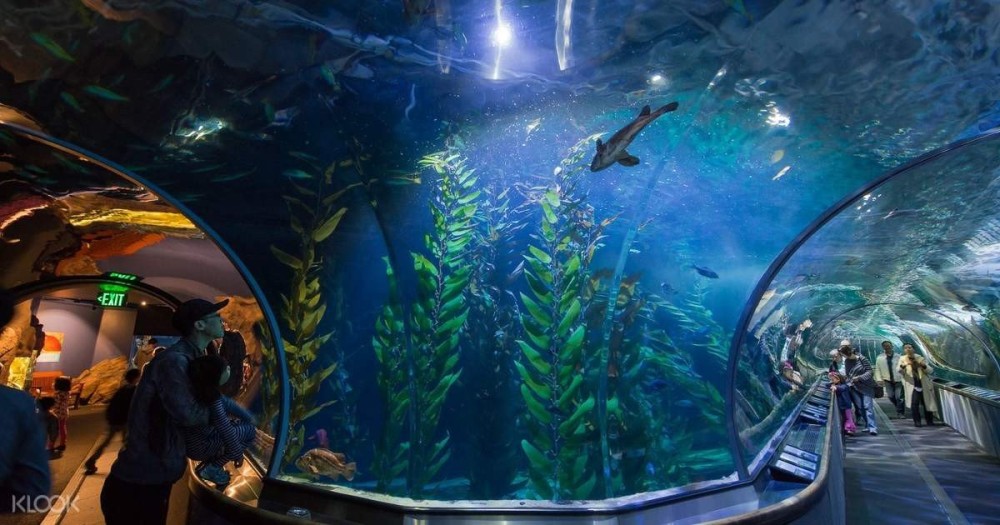 aquarium-of-the-bay-admission-ticket-san-francisco.jpg