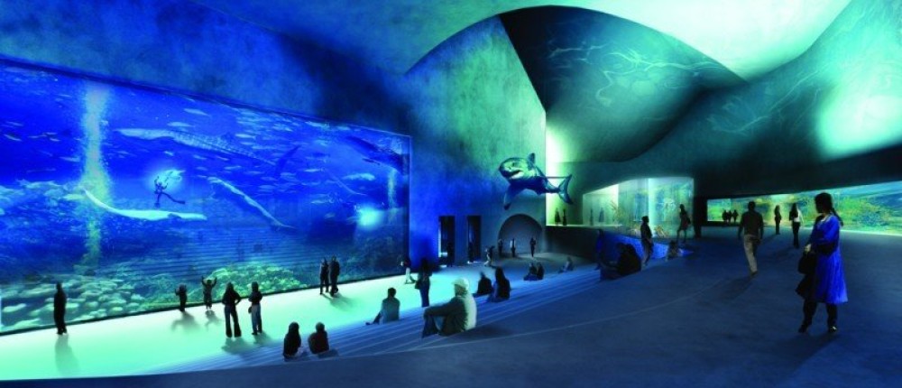 blue-planet-aquarium-1-800.jpg