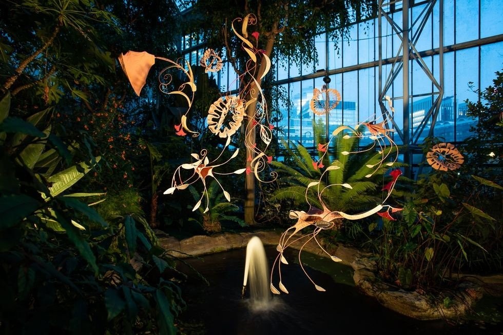 frieze-ranjani-shettar-moon-dancers-2023-installation-view-of-ranjani-shettar-cloud-songs-on-the-horizon-barbican-conservatory-2023-courtesy-barbi-65269fda5fa35.jpg