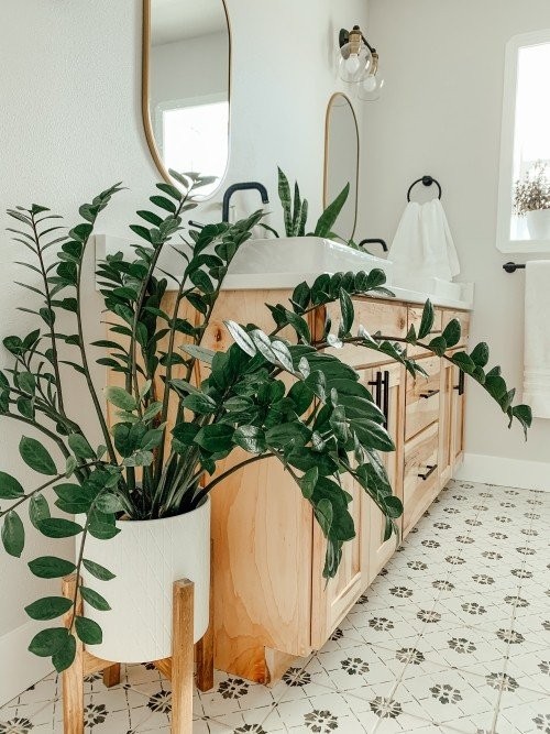 zamioculcas-zamiifolia-zz-plant-home-decor-inspiration-easy-houseplant-beginner-houseplant-low-light-houseplant-home-ideas-bathroom-design.jpg