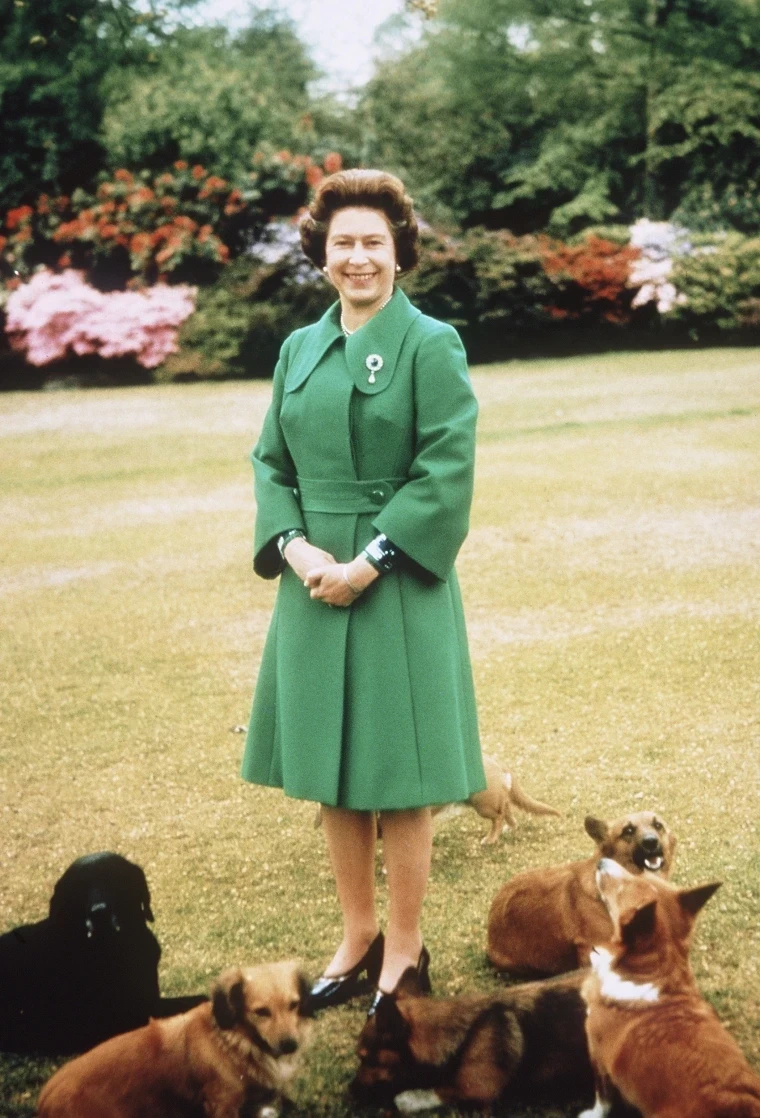 queen-elizabeth-corgi-mc-220910-03-9468d7.webp