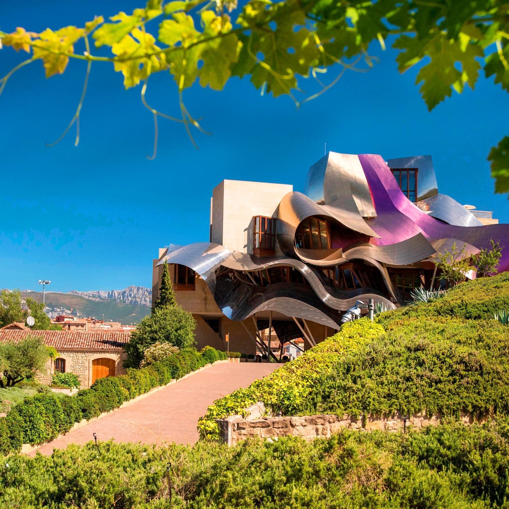 marquesriscal.jpg