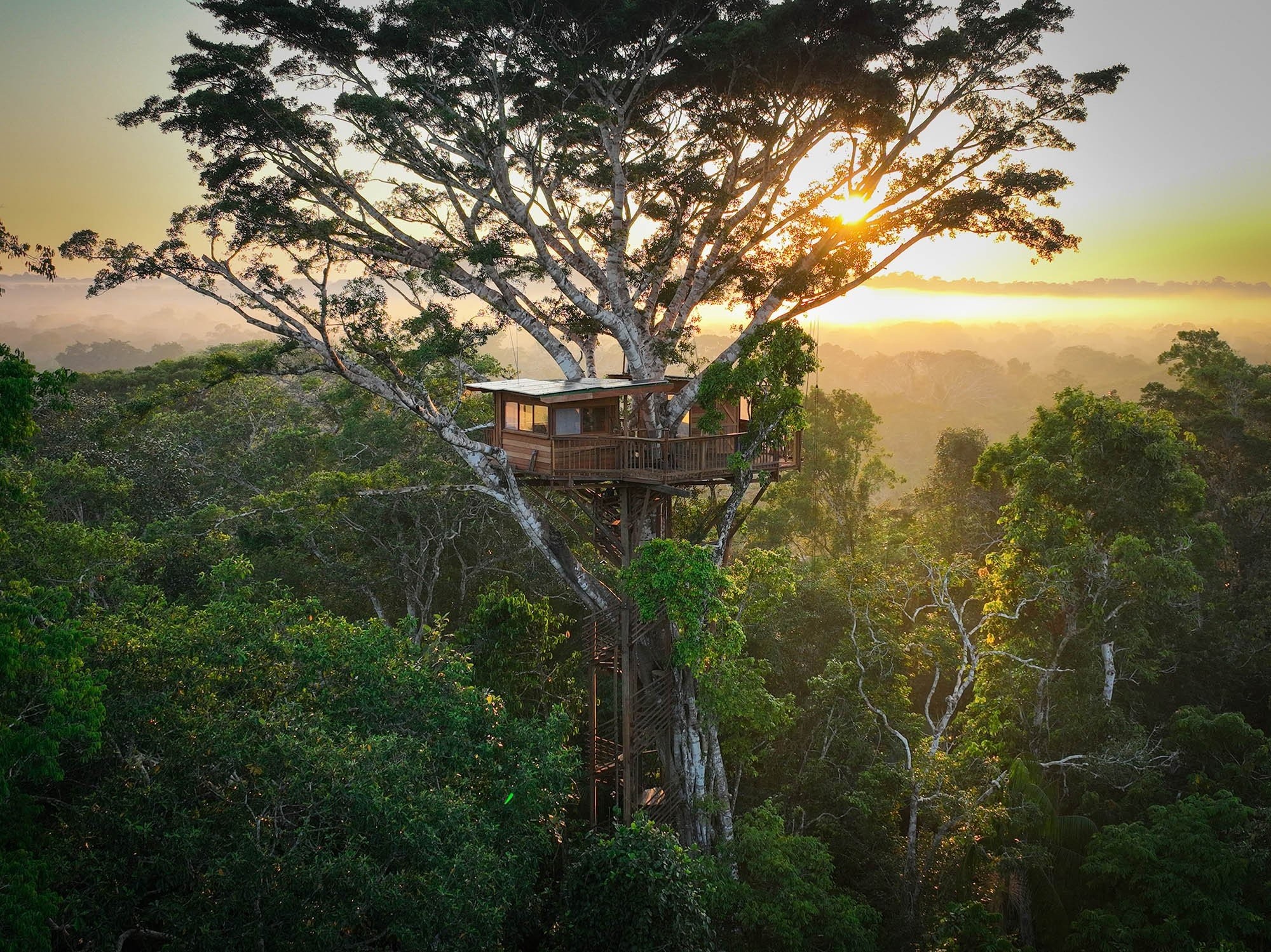 treehouse-sunrise-839d02f0946edf45ed28766a0a3b3f0db9663db27a9cc568c74110e729c881a1.jpg