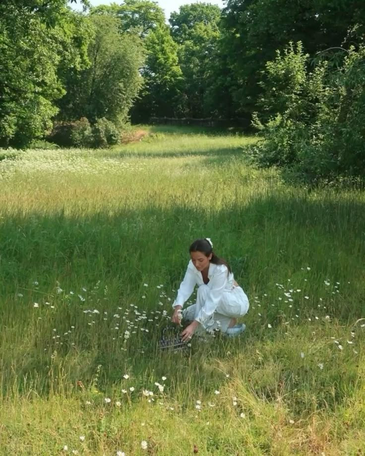 tt-countryside.jpeg