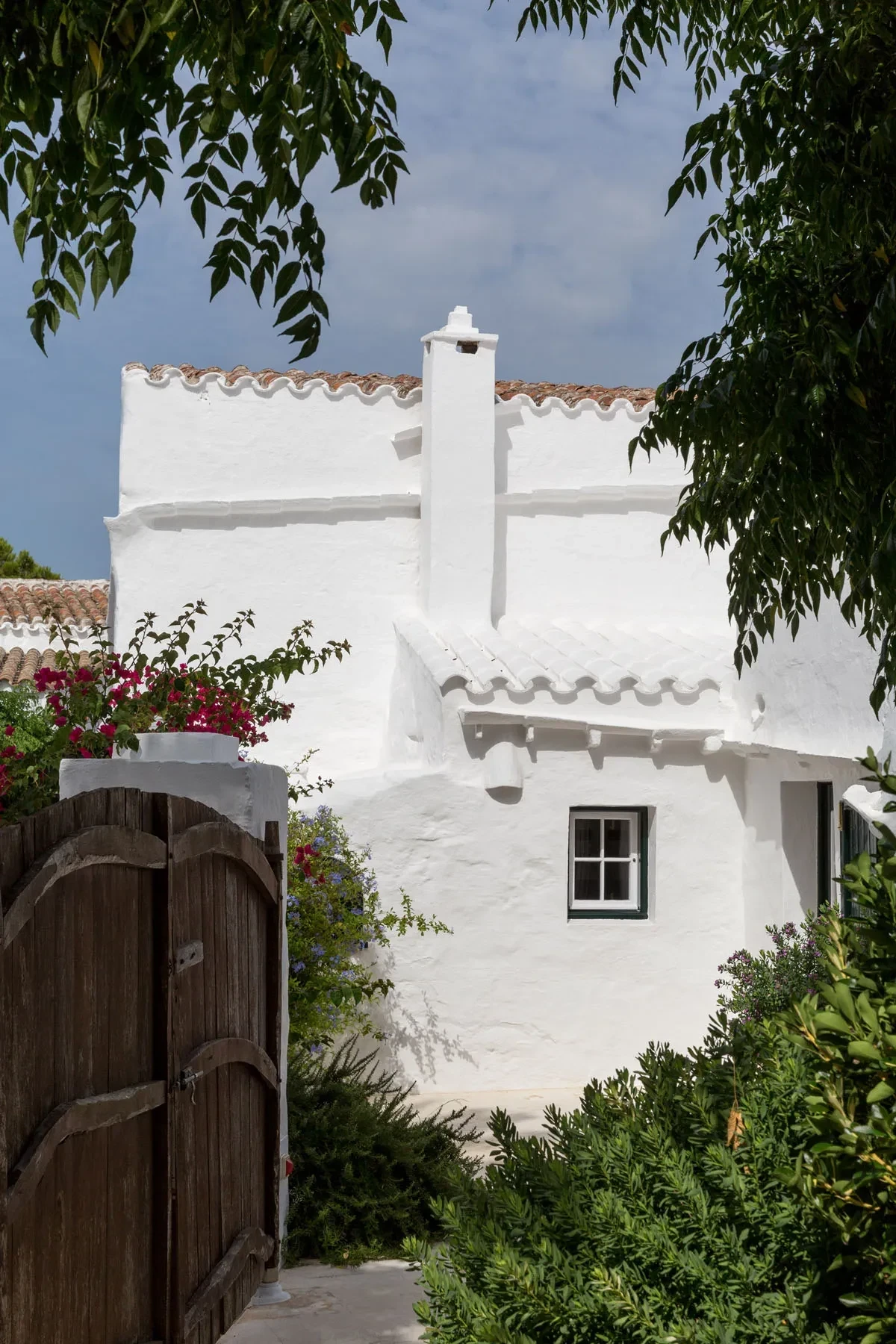 minorca-11jpg.webp