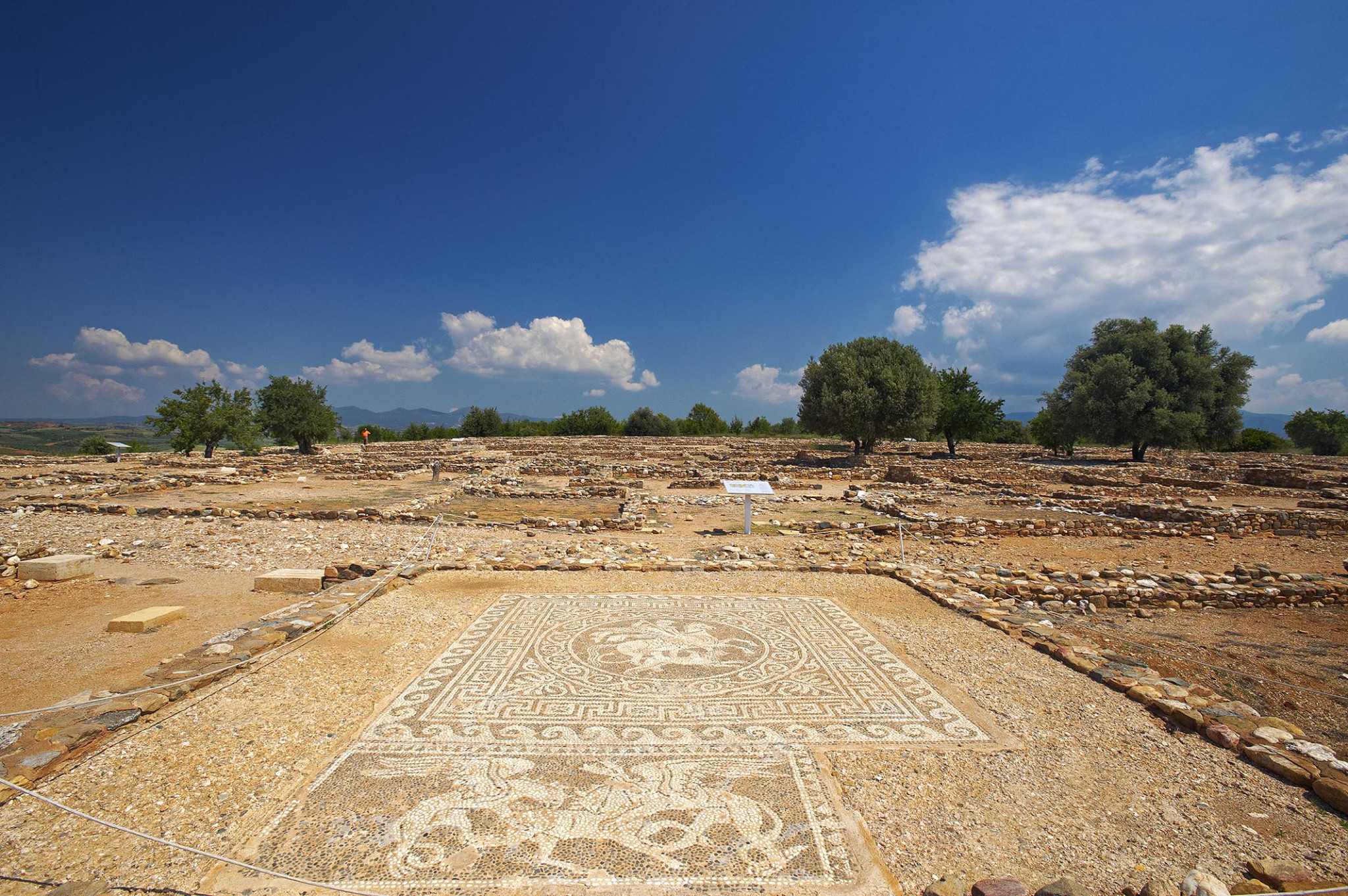 prefecture-of-halkidiki-hal7900.jpg