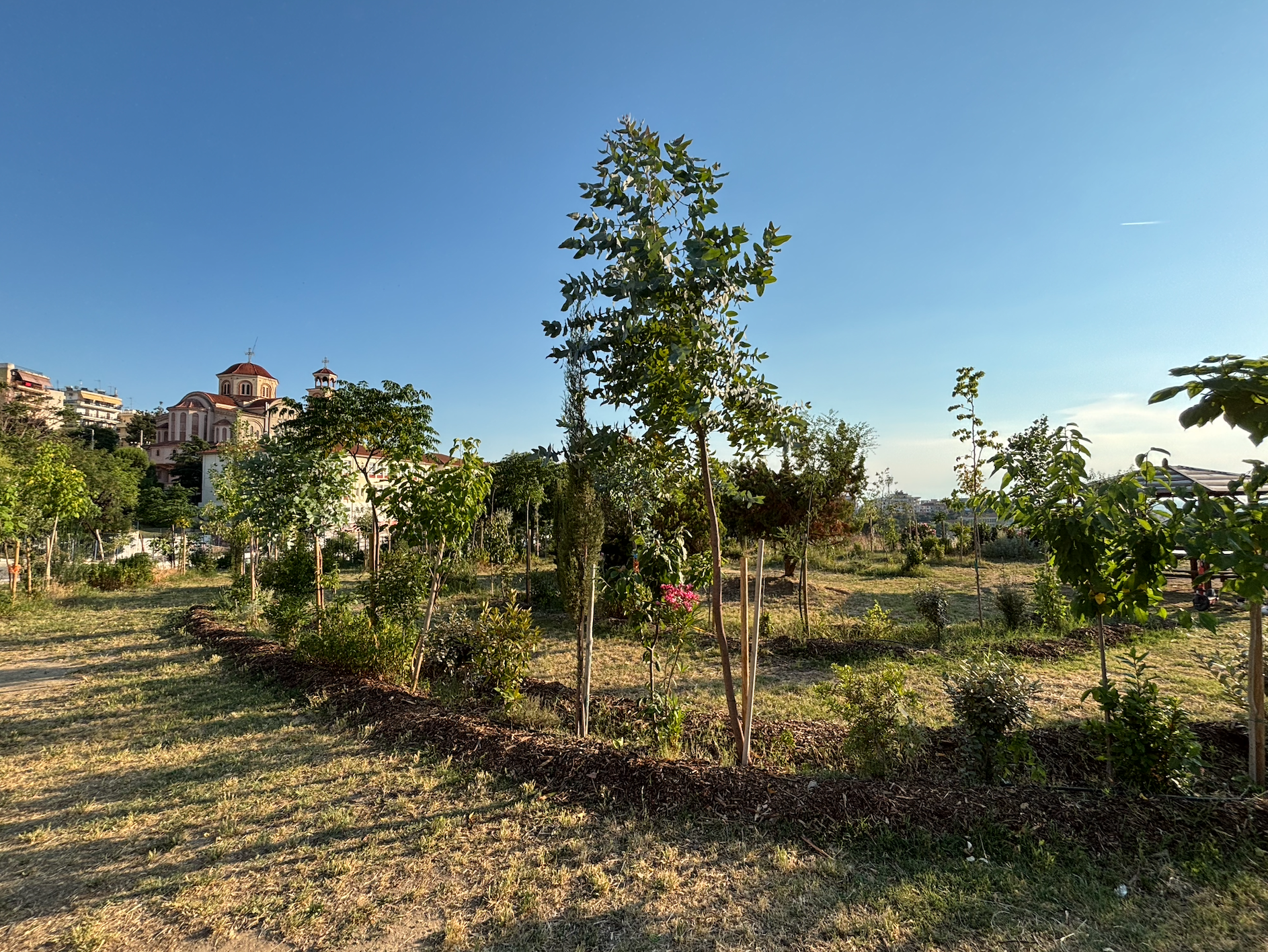 stighmiotipo-othonis-2025-06-04-112038-mm.png