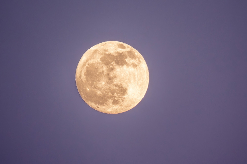 shutterstock-2312277677.jpg