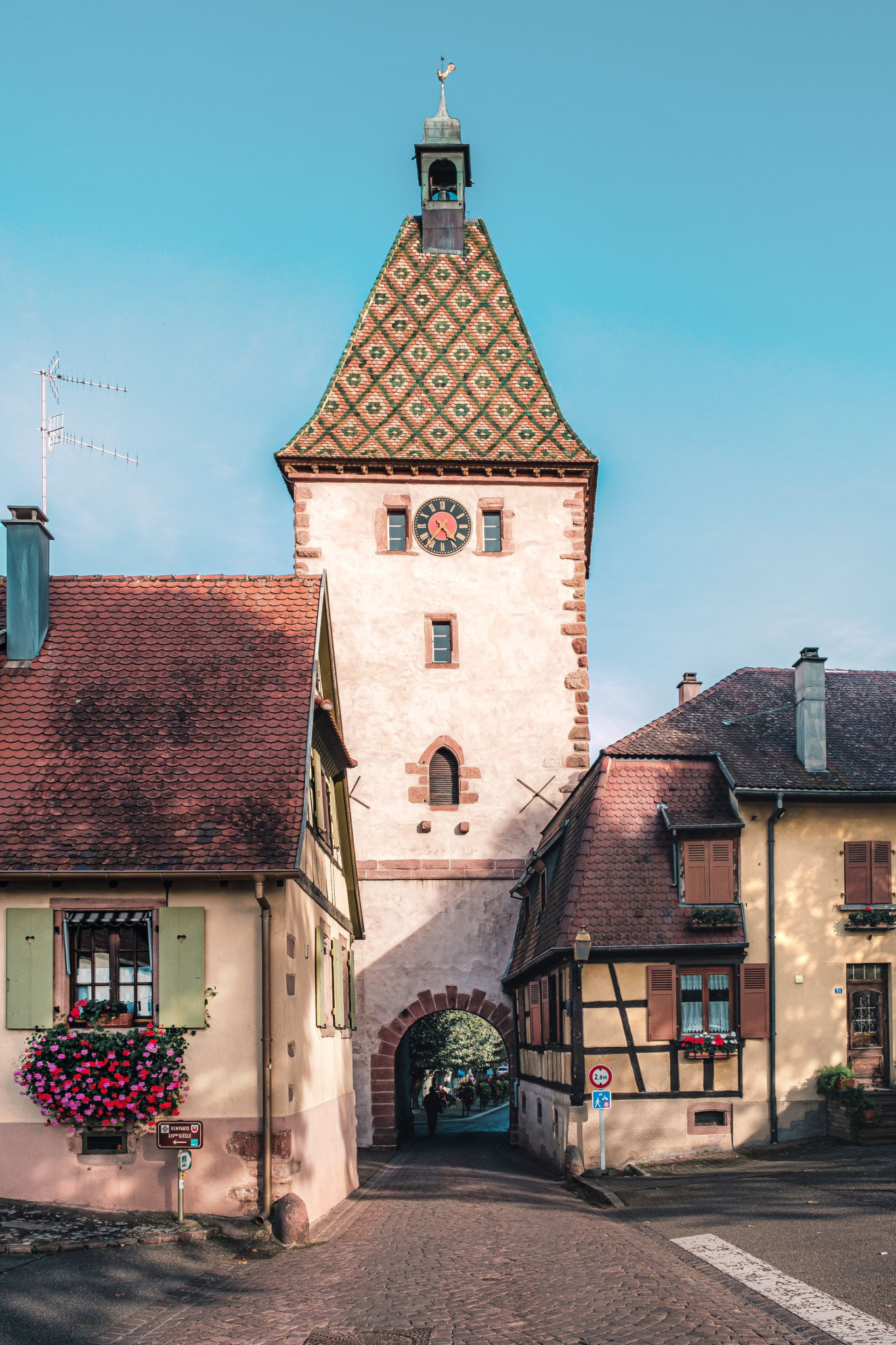 bergheim-france-dscf0374jpgwebp.jpeg