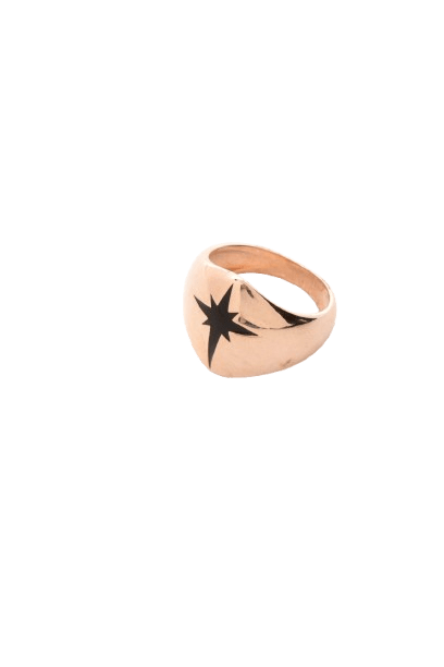 003588-rose-scaled-removebg-preview.png