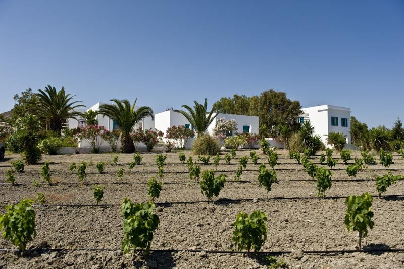 kostantakiswinery8-f8247.jpg