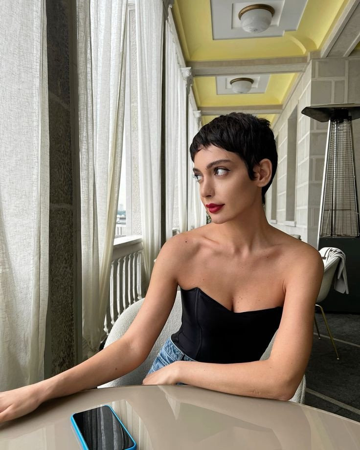 korotkiestrizki-shorthair.jpeg
