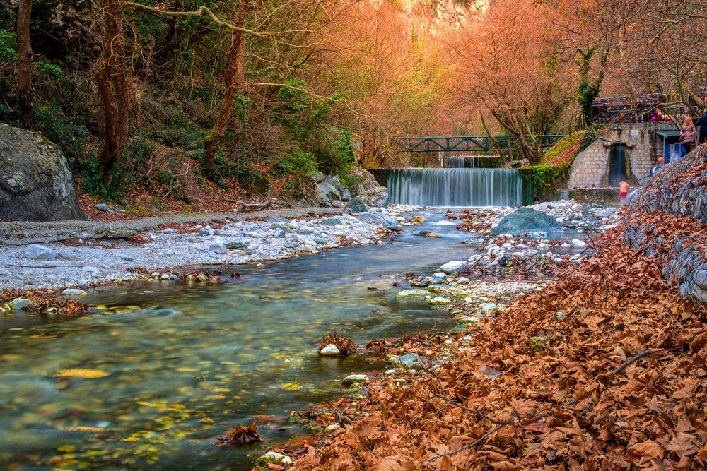 shutterstock-1319425259.jpg