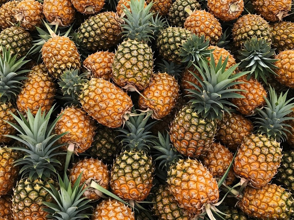 shutterstock-2629962073.jpg
