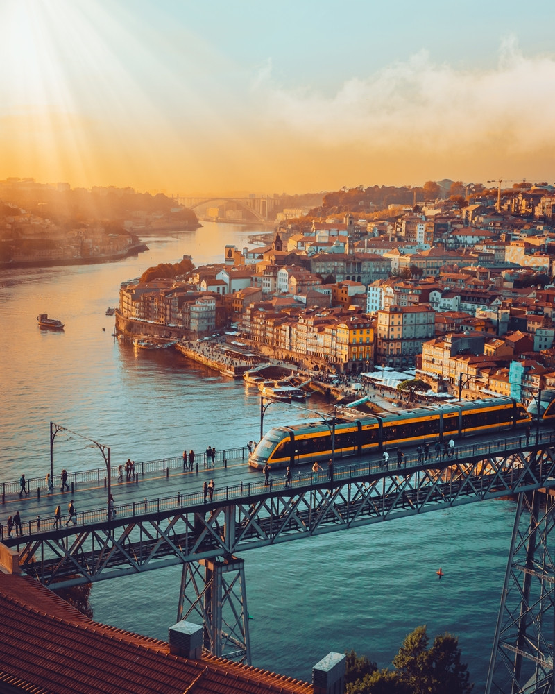 shutterstock-2318201107.jpg