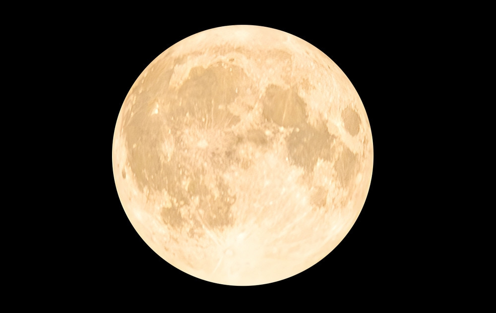 shutterstock-2511017369.jpg