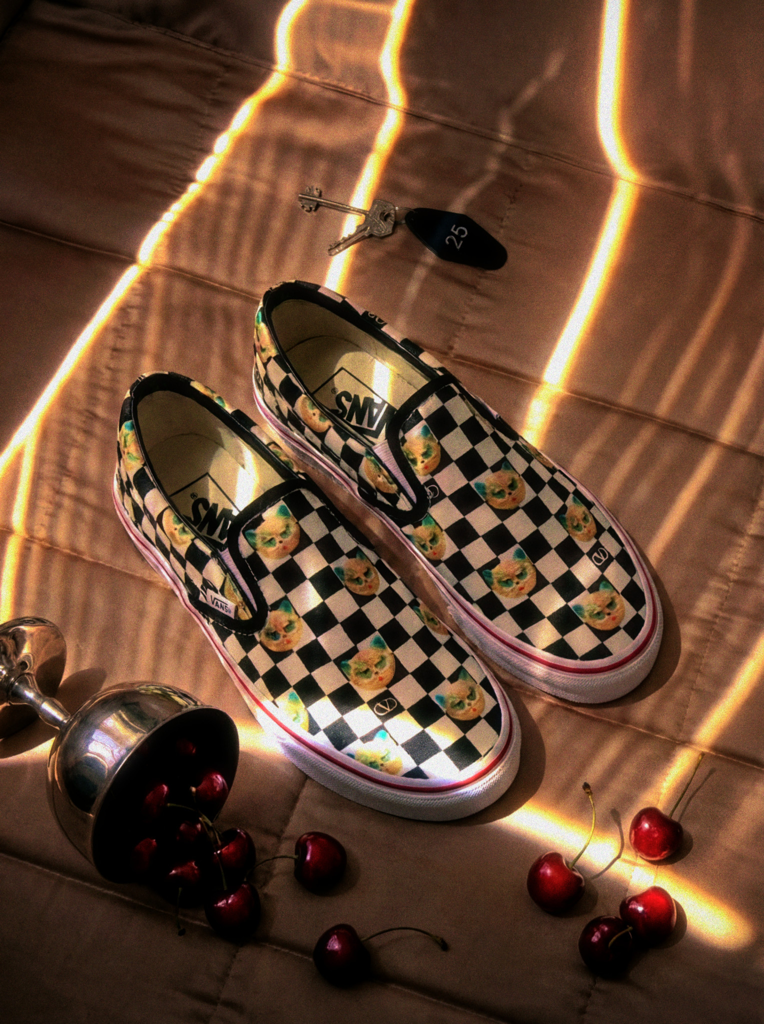 valentino-garavani-and-vans39-kXywC.jpg