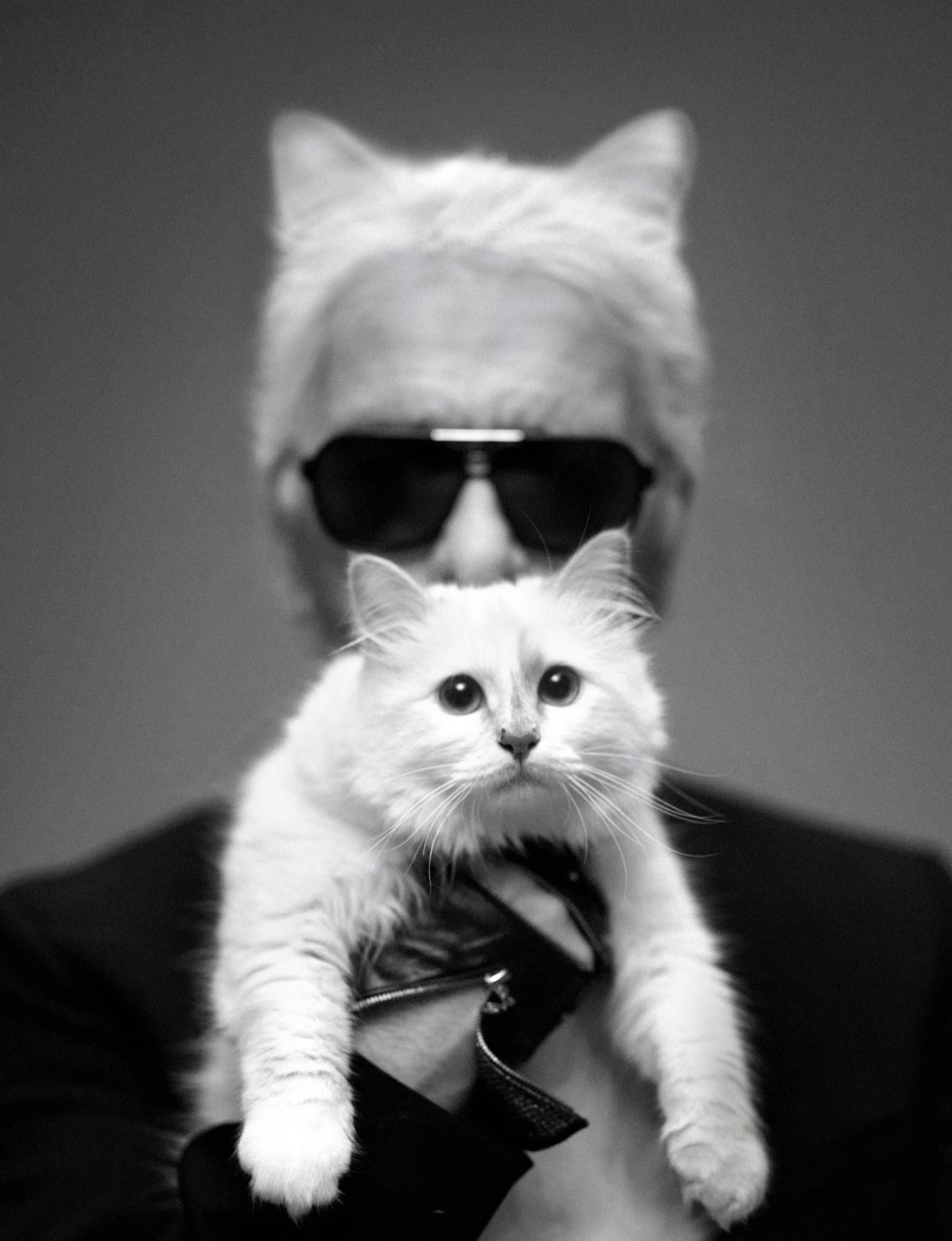 hbz-karl-lagerfeld-choupette-1550592715.jpg