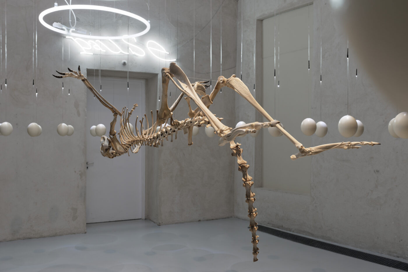 lm-2015-art-orienteu-objet-070-1400x935.jpg