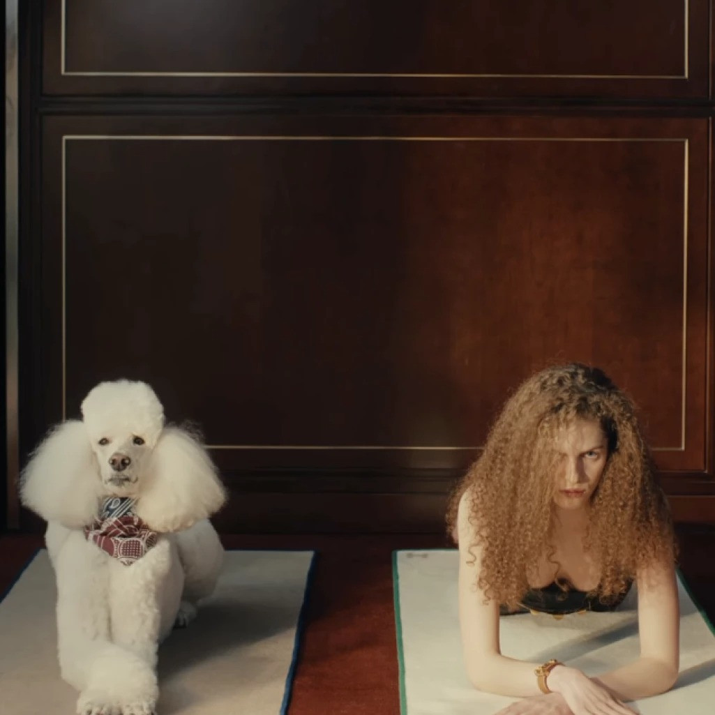 hermes-dogs-metatropi-apo-webp.jpeg