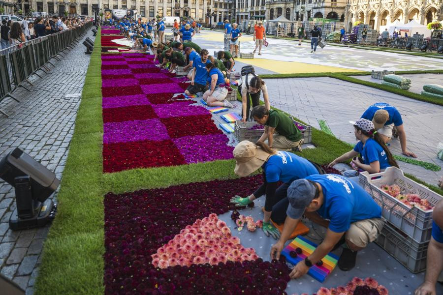 20260813-flower-carpet-2026-web-mastershoot-084.jpg