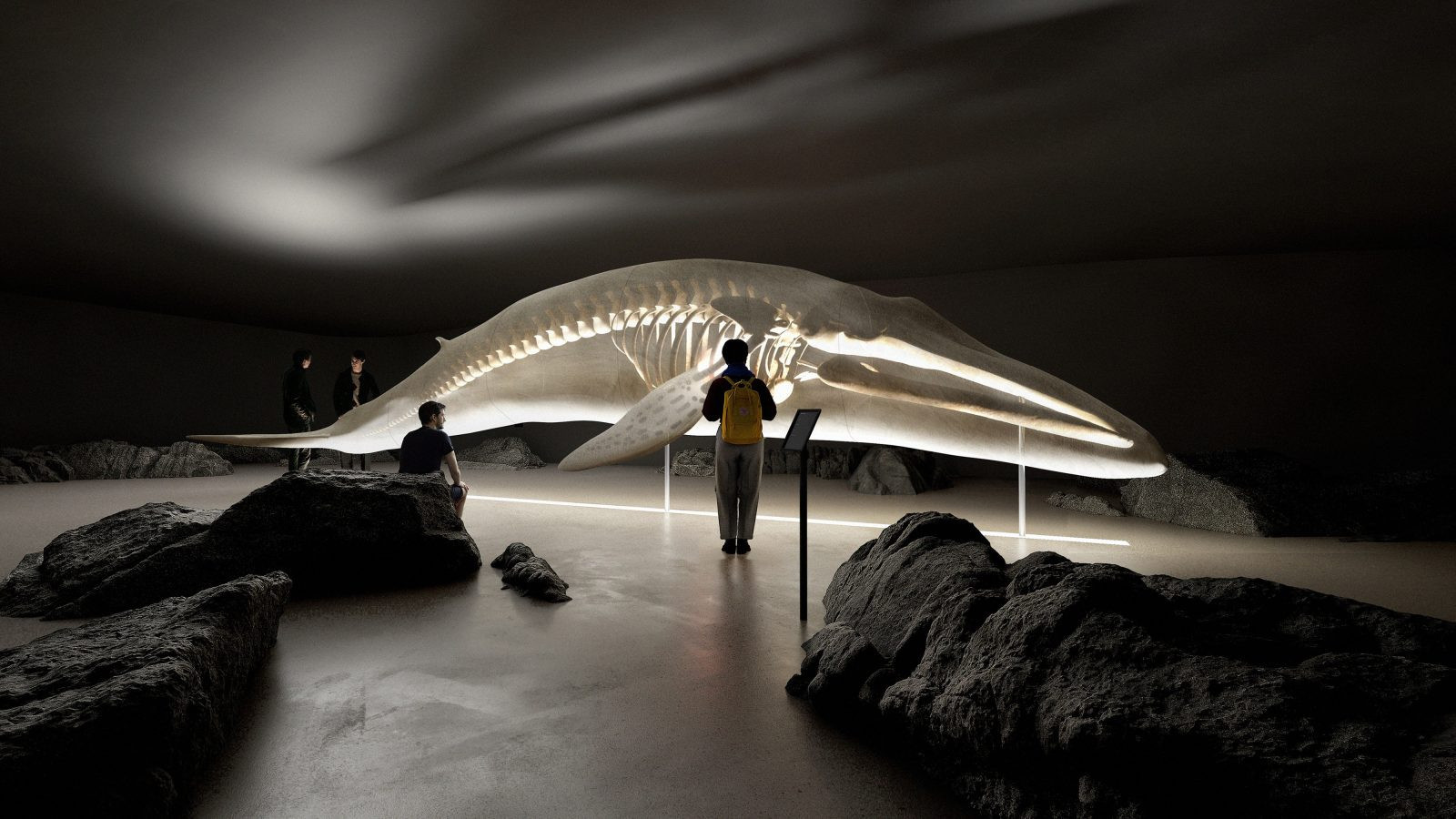 the-whale-9-1600x900.jpg