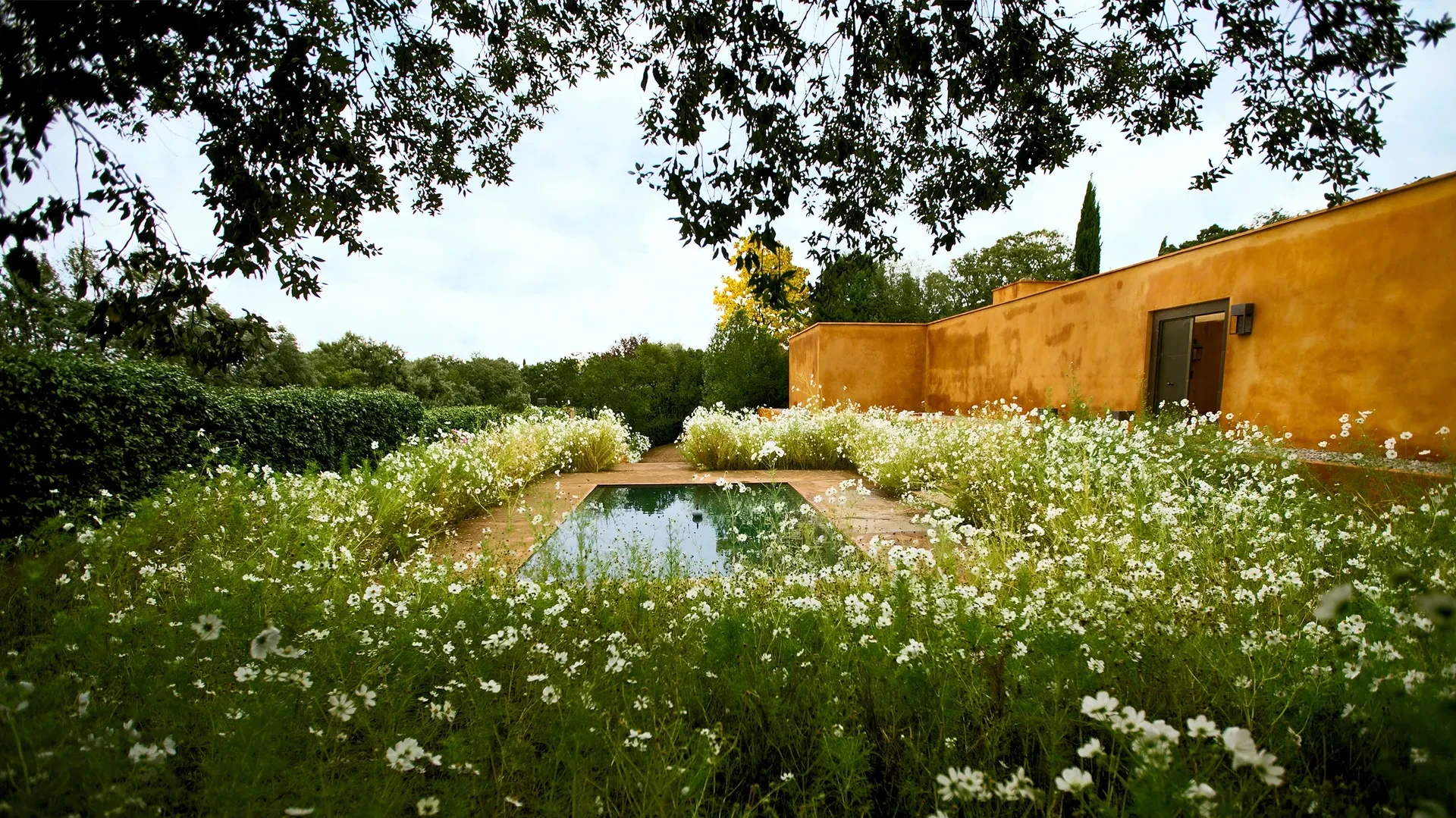 1016-fernando-caruncho-madrid-garden-3.webp