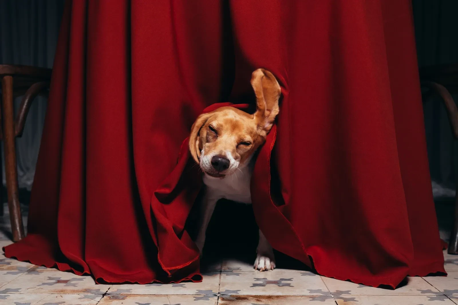 dogue-07272026-1993-copy.webp