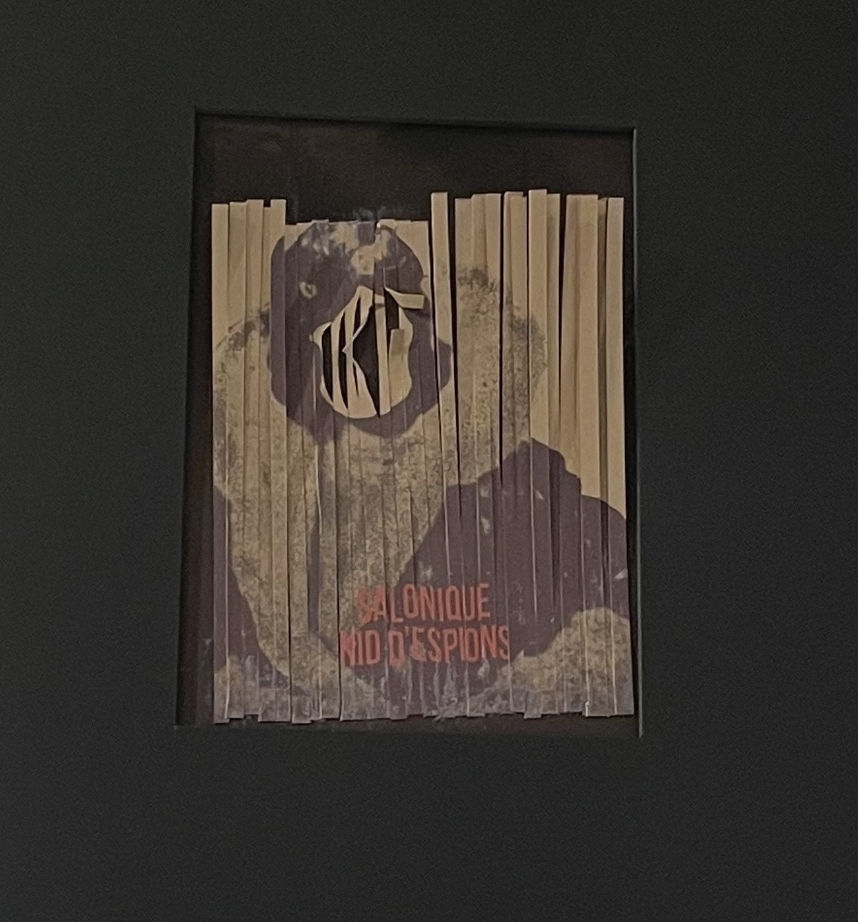 img-5255.jpeg