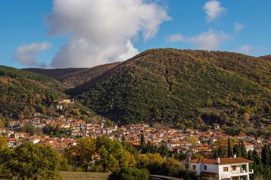 megalipanagia-01.webp