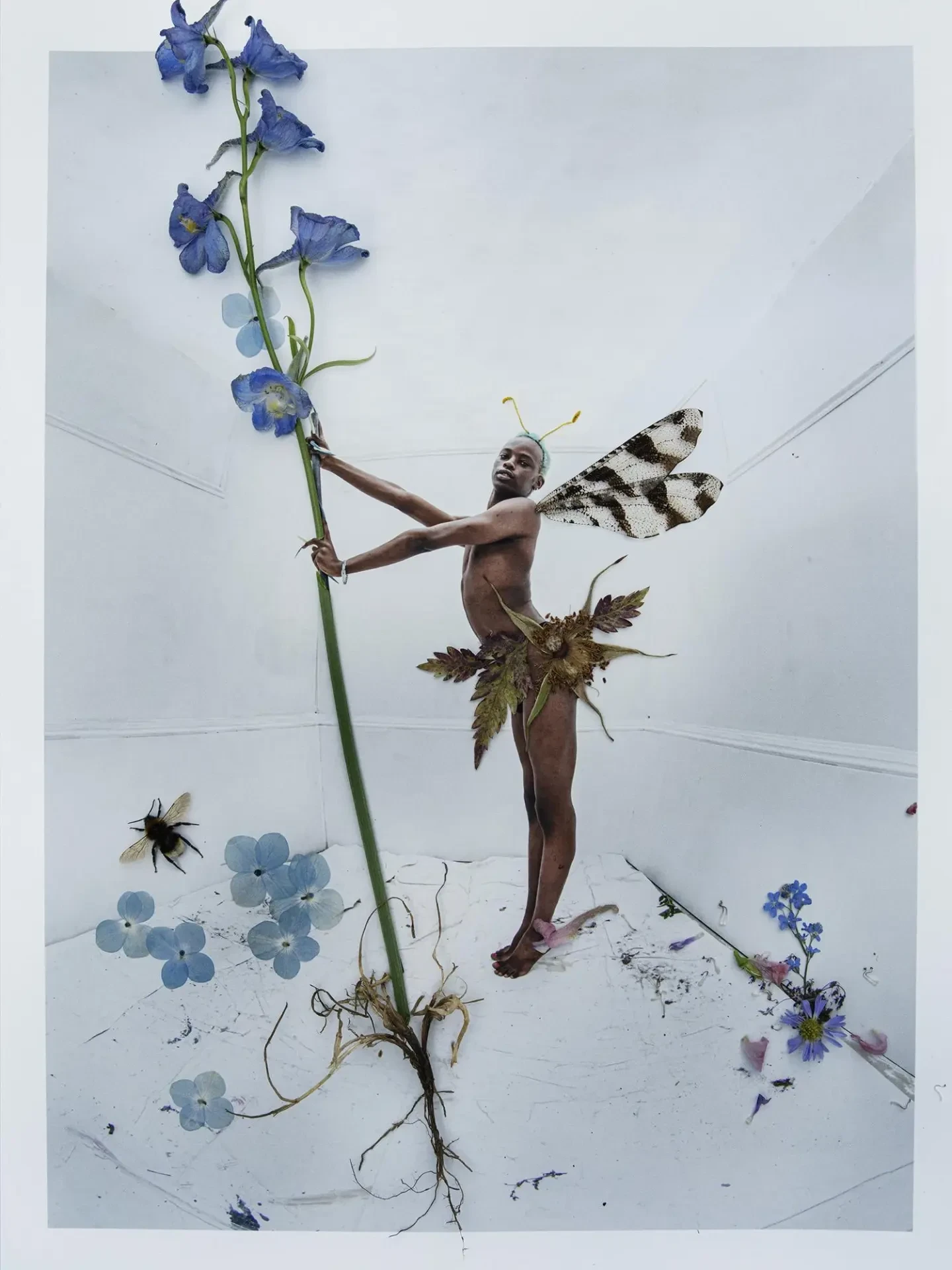 main5353a89atim-walker-d-22-flower-fairy-collage-ii-shot-05-00073b281d58.webp