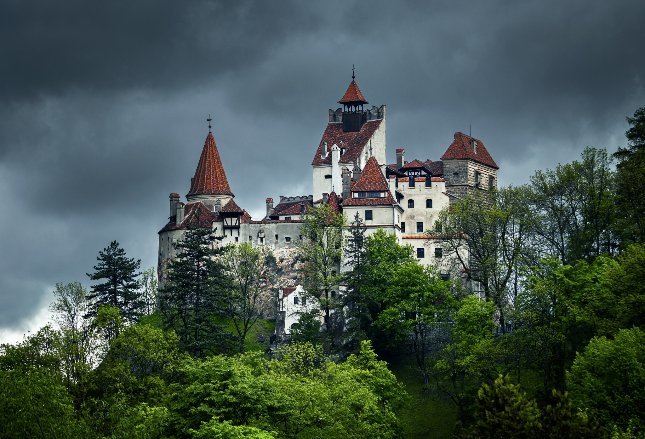 shutterstock-2759940533.jpg