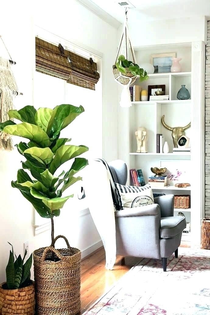 plant-home-decor-home-decor-plants-living-room-skillful-living-room-plant-decor-layout-home-decor-plants-living-room-green-plant-home-decor.jpg