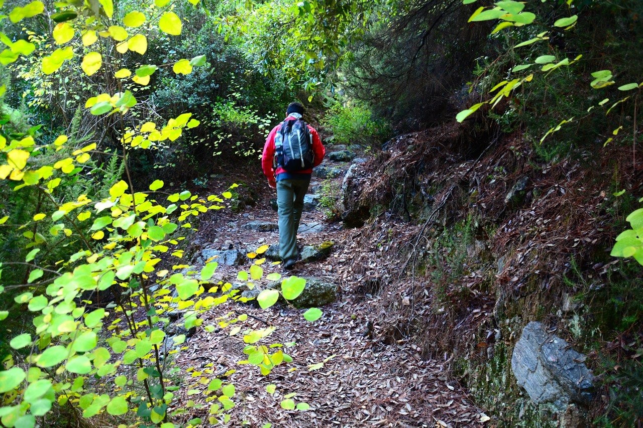 fall-hike-pickandocom-QUuSJ.JPG