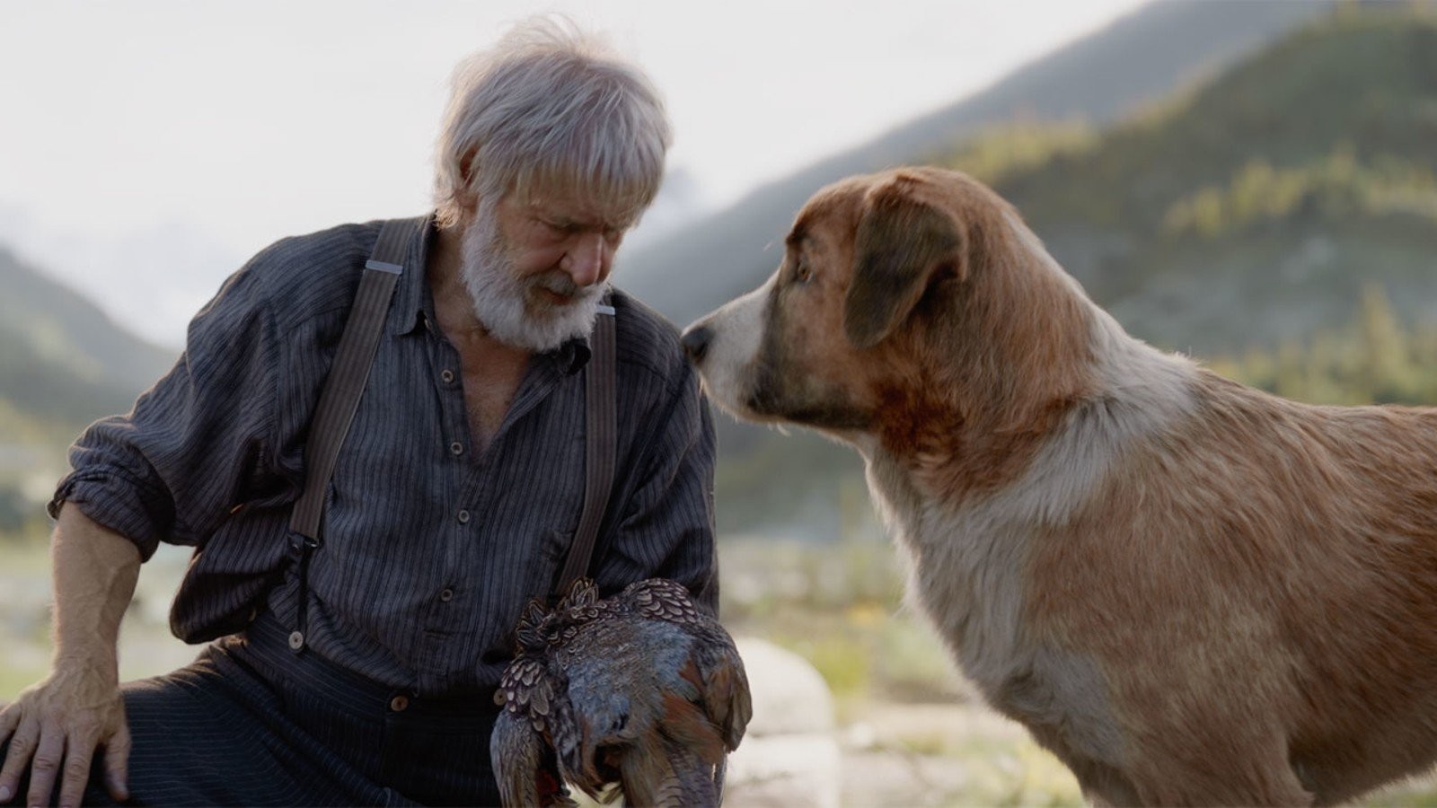 meet-buck-the-big-hearted-dog-from-new-movie-the-call-of-the-wild.jpg
