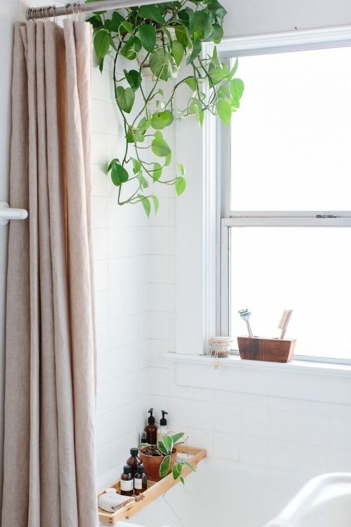 upinteriors-shower-plant.jpg