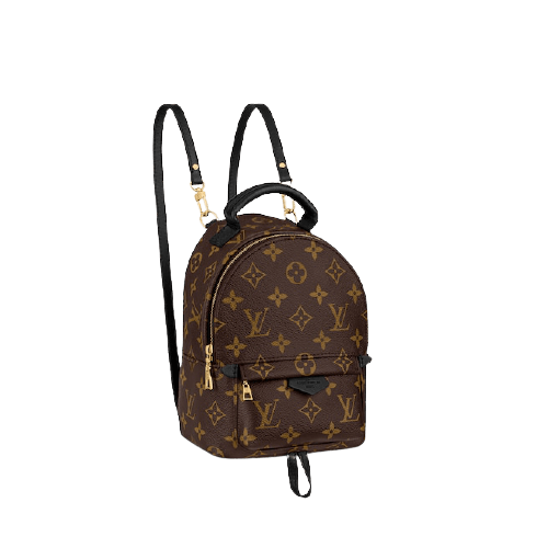 louis-vuitton-palm-springs-mini-monogram-canvas-handbags-m44873-pm2-front-view-removebg-preview.png