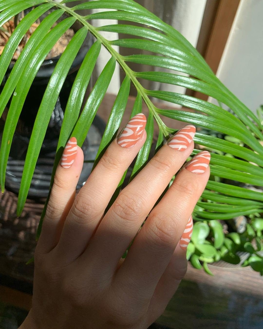 zebra-nails.jpg