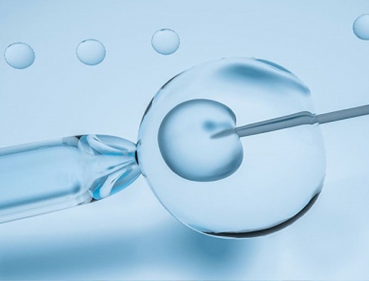 drvasilopoulos-in-vitro-fertilization-research-b.jpg