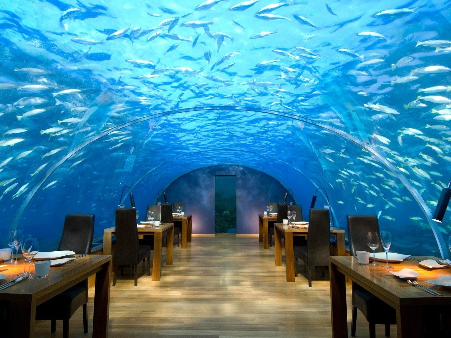ithaa-undersea-restaurant.jpg